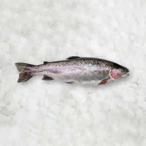Rainbow trout, frozen, 250-300 g, 5 kg